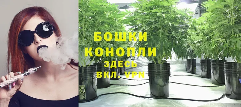 Бошки Шишки White Widow  Переславль-Залесский 